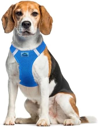 Collars