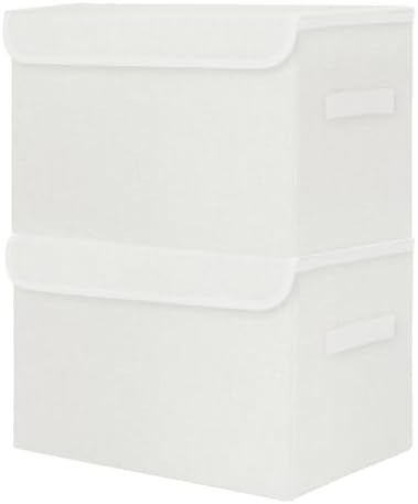 Bagnizer Large 42 Quarts Fabric Storage Bins by Bagnizer
