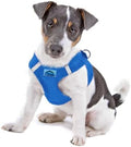 Doggie Design Dog Harness by DoggieDesign