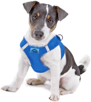 Doggie Design Dog Harness by DoggieDesign