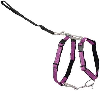 PetSafe Easy Walk 3 in 1 No Pull Dog Harness by PetSafe