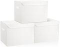 Bagnizer Large 17" 42 Quarts Collapsible Stackable Storage Bins by Bagnizer
