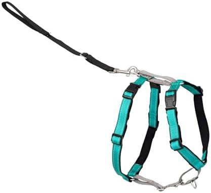 PetSafe 3 in 1 No-Pull Dog Harness by PetSafe