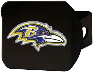 FANMATS NFL Unisex-Adult Black & Color Logo by FANMATS