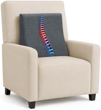 Vekkia Lumbar Support Pillow for Sofa by Vekkia
