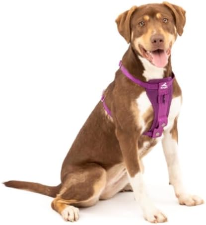 Kurgo Enhanced Strength Tru-Fit Smart Harness, Deep Violet - Image 3