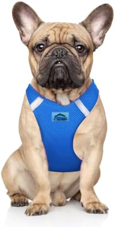 Doggie Design Dog Harness by DoggieDesign