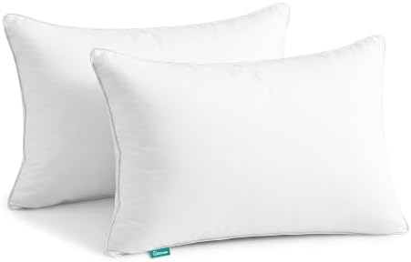 Oubonun 20"x26" Decorative Bed Pillow 2 Pack, 100% Cotton Cover Living Room by Oubonun