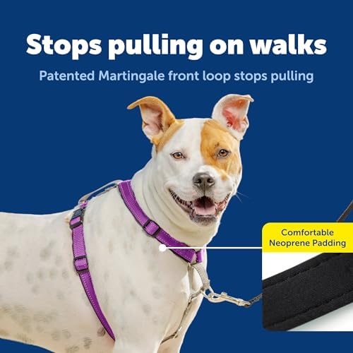 PetSafe Easy Walk 3 in 1 No Pull Dog Harness - Image 3