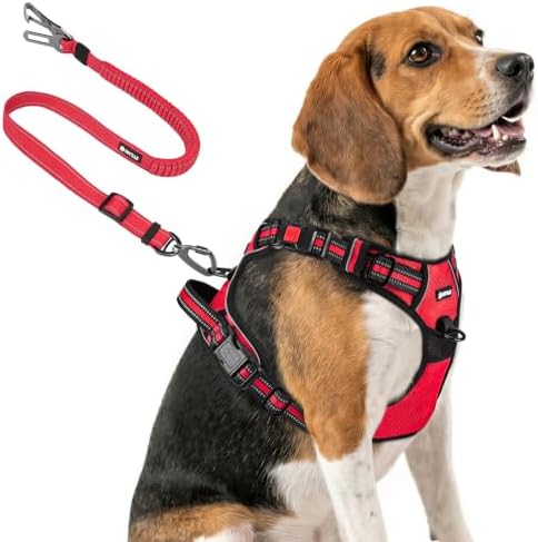 Joytale No Pull Dog Harness & Seat Belt, Easy On 3-Buckle by Joytale