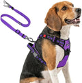 Joytale No Pull Dog Harness & Seat Belt, Easy On 3-Buckle by Joytale