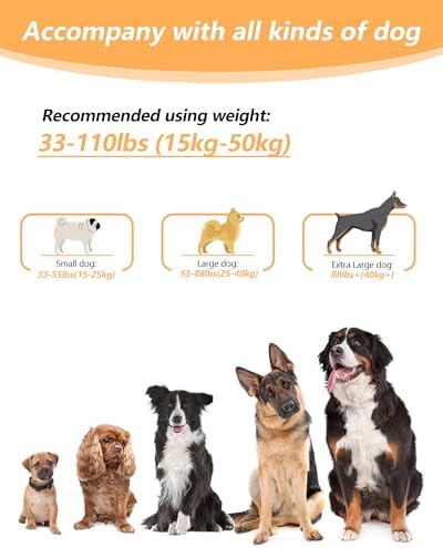 Hands Free Dog Leash with Seatbelt Set, Waist & Crossbody Dog Leash - Image 2