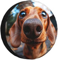 Dachshund Dog Spare Tire Cover Weatherproof Universal Wheel Protectors Wheel by Unknown