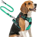 Joytale No Pull Dog Harness & Seat Belt, Easy On 3-Buckle by Joytale