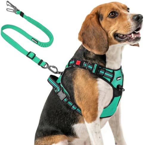 Joytale No Pull Dog Harness & Seat Belt, Easy On 3-Buckle by Joytale