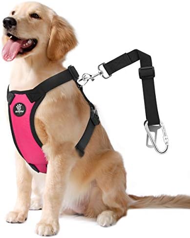 VavoPaw Dog Seat Belt Vest Harness by VavoPaw