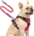 Joytale No Pull Dog Harness & Seat Belt, Easy On 3-Buckle by Joytale