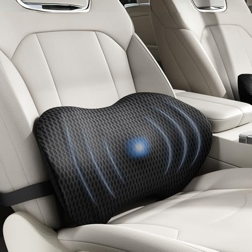 BYMECOST Lumbar Support Pillow for Car, Ergonomic Back Cushion by BYMECOST