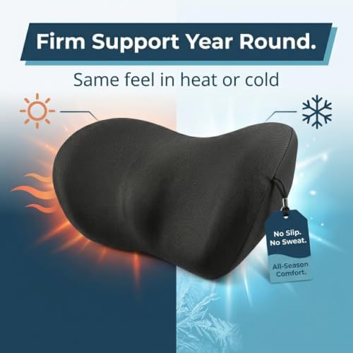 Lumbar Support Pillow for Car - Image 4