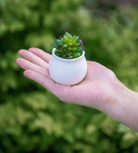Dahey 2 Pack Mini Macrame Succulent Plant Hangers - Image 7