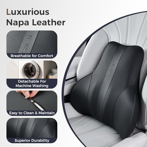 Coverado Lumbar Support Pillow for Car, Ergonomic Memory Foam Back Pillow for - Image 5