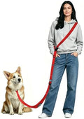 Hands Free Dog Leash by WANFIRE
