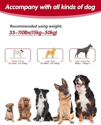 Hands Free Dog Leash - Image 6