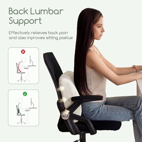 HIGOGOGO Lumbar Support Pillow for Recliner Chair/Accent Chair/Couch, Large - Image 7
