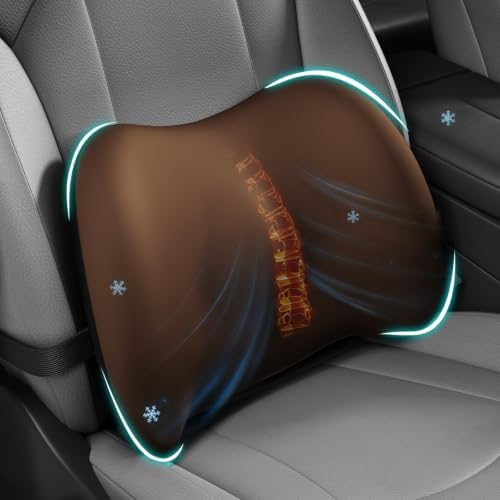 BYMECOST Cooling Lumbar Support Pillow by BYMECOST
