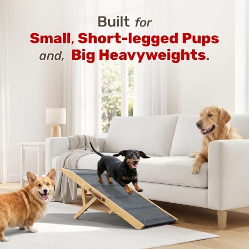 Foldable Dog Ramp for Couch - Image 2