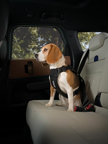 Thule Cappy Dog Harness M, Seatbelt Passthrough, Leash Loop, Step-in Design - Image 6