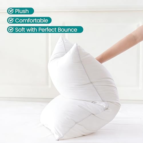 Oubonun 20"x26" Decorative Bed Pillow 2 Pack, 100% Cotton Cover Living Room - Image 2