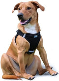 Doggie Design Dog Harness by DoggieDesign