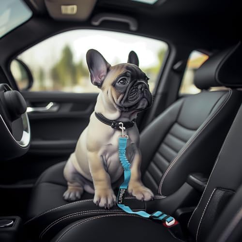 IBWell Dog Seat Belt with Elastic Bungee Leash, Car Seat Belt - Image 6