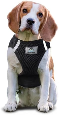 Doggie Design Dog Harness by DoggieDesign