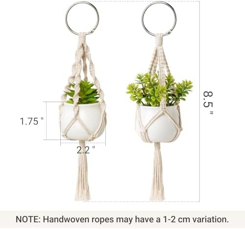 Dahey 2 Pack Mini Macrame Succulent Plant Hangers - Image 3