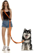 Hands Free Dog Leash by WANFIRE