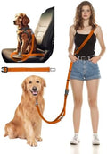 Hands Free Dog Leash with Seatbelt Set, Waist & Crossbody 33-110 lbs by WANFIRE