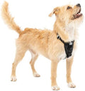 Kurgo Enhanced Strength Tru-Fit Smart Harness by Kurgo