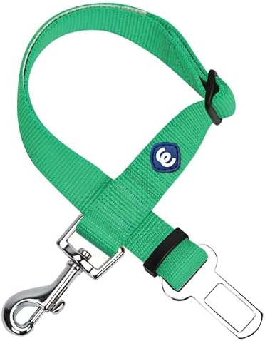 Blueberry Pet Dog Leash by BlueberryPet