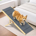 Foldable Dog Ramp for Couch by PHATOSIOPETS