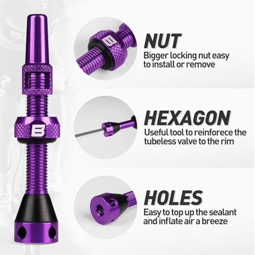 BWSHLF Tubeless Presta Valve Stem 40/44/55/60/65/80/100 mm, Super Light Alloy - Image 2