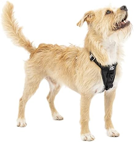 Kurgo Enhanced Strength Tru-Fit Smart Harness, Extra Small by Kurgo