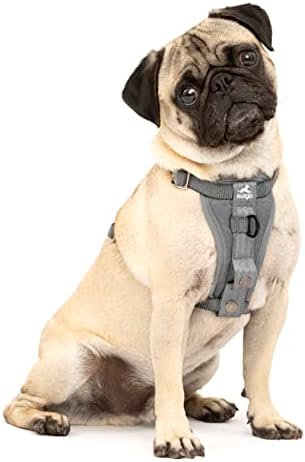 Kurgo Enhanced Strength Tru-Fit Smart Harness by Kurgo