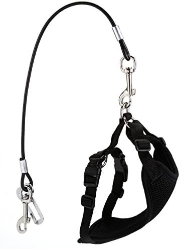 Chew Proof Dog Car Seatbelt Safety Restraint Stainless Steel Tether Cable - Image 6