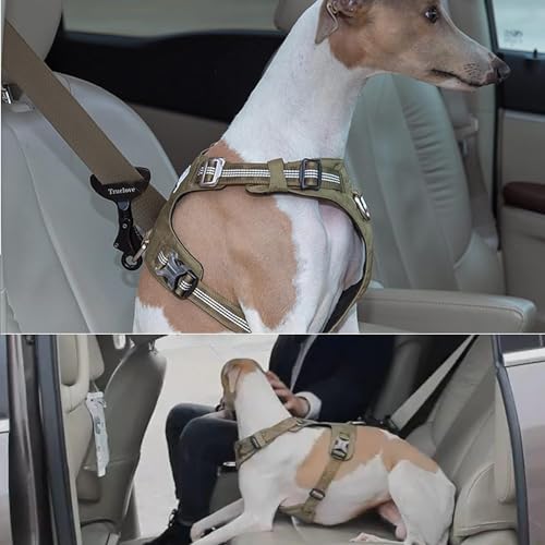 Truelove Vehicle Seat Belt Safety Buckle Lock, Dog Car Restraint, Universal - Image 3
