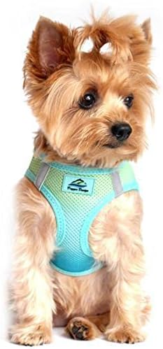 Doggie Design No Choke Dog Harness by DoggieDesign