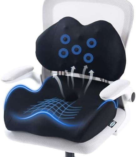 Lexeme X Large Memory Foam Seat Cushion Lumbar Support Pillow by Lexeme