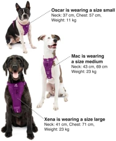 Kurgo Enhanced Strength Tru-Fit Smart Harness, Deep Violet - Image 6