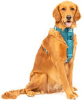 Kurgo Ink Blue Large Dog Harness by Kurgo